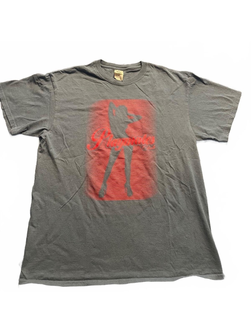 Y2K Playmates Club Promo T-Shirt Adult Large Gray Gentlemen’s Club Graphic